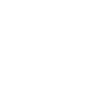 Platform Strategy